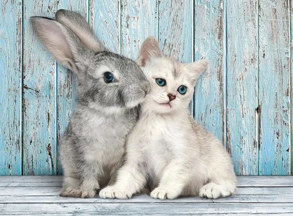 Cat &amp; Bunny - 500pc Jigsaw Puzzle by Clementoni