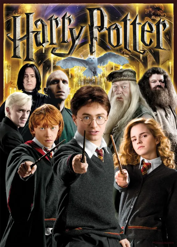 Harry Potter: Collage - 1000pc Jigsaw Puzzle by Aquarius