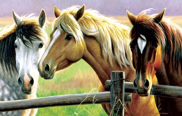 Horse Fence - 1000pc Jigsaw Puzzle By Sunsout