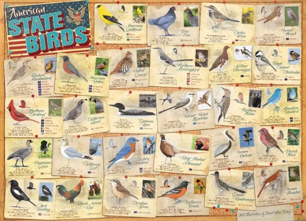 State Birds - 1000pc Jigsaw Puzzle by Eurographics