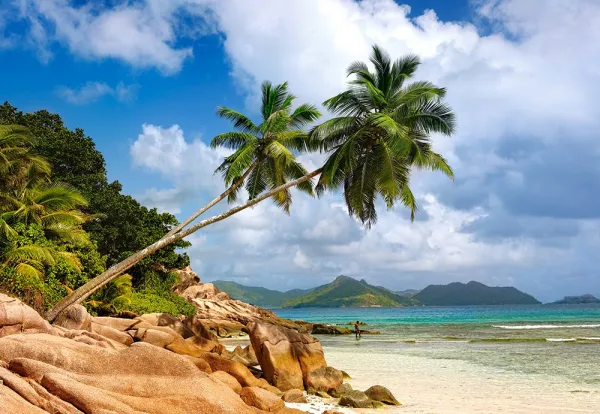 Secret Beach, Seychelles - 1000pc Jigsaw Puzzle By Castorland