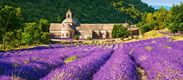 Notre Dame de Senanque, France - 600pc Jigsaw Puzzle By Castorland