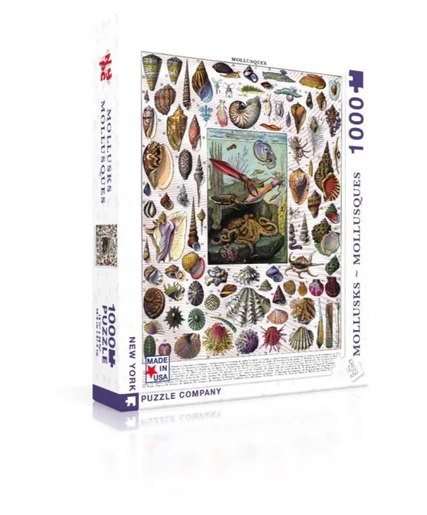 Mollusks - 1000pc Jigsaw Puzzle by New York Puzzle Company