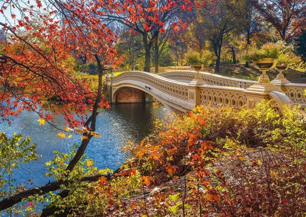Central Park, New York - 1000pc Jigsaw Puzzle by Schmidt