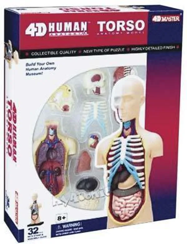 Human Torso - 32pc 4D Human Anatomy Puzzle