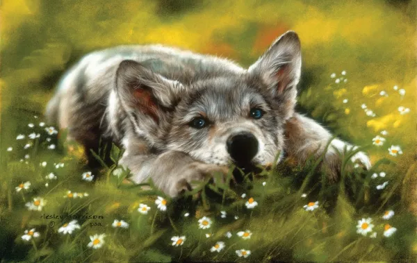 No Worries - 550pc Jigsaw Puzzle by Sunsout