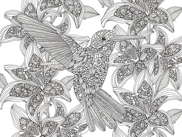 Hummingbirds-2 Sided Coloring Puzzle - 300pc Jigsaw Puzzle By White Mountain