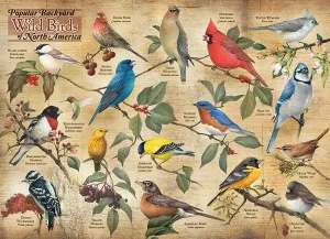 Popular Backyard Wild Birds of North America - 1000pc Jigsaw Puzzle by Cobble Hill  			  					NEW
