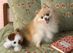 Bedtime - 500pc Jigsaw Puzzle By Cobble Hill  			  					NEW
