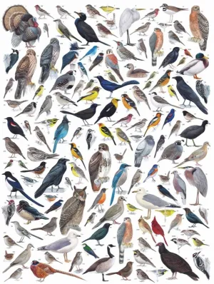 Birds of Western America - 1000pc Jigsaw Puzzle by New York Puzzle Company  			  					NEW