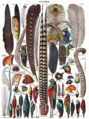 Feathers - 1000pc Jigsaw Puzzle by New York Puzzle Company  			  					NEW