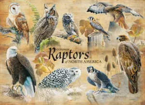 Common Raptors - 1000pc Jigsaw Puzzle by Cobble Hill  			  					NEW