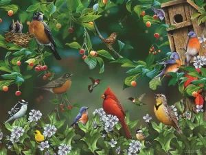 Bird Festival - 300pc Jigsaw Puzzle By Sunsout  			  					NEW