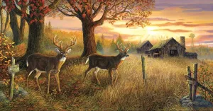 Unknown Sanctuary - 1000pc Jigsaw Puzzle By Sunsout  			  					NEW