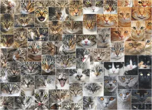 Cat Faces - 1000pc Jigsaw Puzzle By D-Toys  			  					NEW