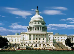 The Capital, Washington DC - 500pc Glow in the Dark Jigsaw Puzzle By Tomax