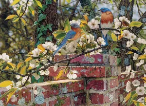 Backyard Blues - 1000pc Jigsaw Puzzle by Cobble Hill