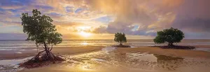 Cape Tribulation, Daintree National Park, Queensland, Australia - 1000pc Jigsaw Puzzle by Schmidt  			  					NEW