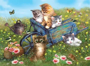 Kittens on a Field Trip - 1000pc Jigsaw Puzzle by Sunsout