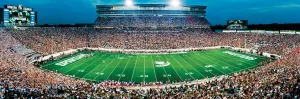 Michigan State - 1000pc Panoramic Jigsaw by Masterpieces