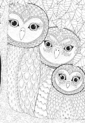 Owls Family - 260pc Jigsaw Puzzle by Anatolian