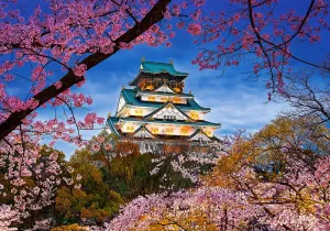 The Harmony of Spring - 500pc Jigsaw Puzzle By Castorland