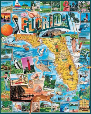 Florida - 1000pc Jigsaw Puzzle By White Mountain