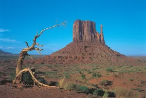 Monument Valley, Utah - 1000pc Glow-in-the-Dark Jigsaw Puzzle by Tomax
