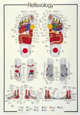 Reflexology - 1000pc Jigsaw Puzzle by Ricordi  			  					NEW
