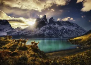 Guanacos - 1000pc Jigsaw Puzzle By Heye  			  					NEW