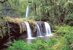 The Falls - 300pc Glow in the Dark Jigsaw Puzzle By Tomax