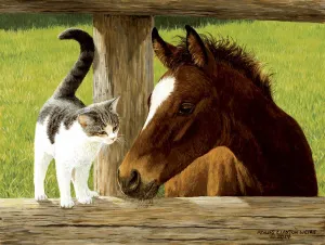 Whiskery Hello - 500pc Jigsaw Puzzle by Sunsout