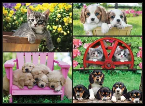 Kodak: Kittens &amp; Puppies - 550pc Jigsaw Puzzle by Lafayette Puzzle Factory  			  					NEW