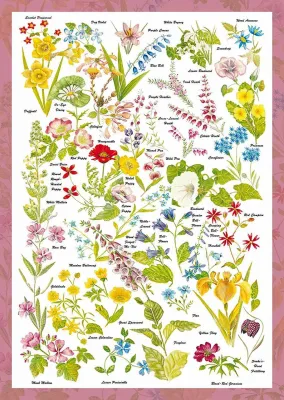 Wild Flowers - 1000pc Jigsaw Puzzle by Schmidt  			  					NEW