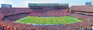 University of Florida: The Swamp - 1000pc Panoramic Jigsaw Puzzle by Masterpieces