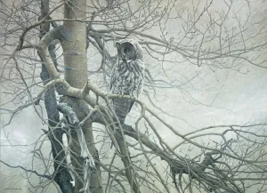 Ghost of the North - 1000pc Jigsaw Puzzle By Cobble Hill  			  					NEW