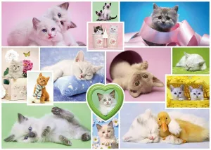 Cuddly Cats - 1000pc Jigsaw Puzzle by Schmidt  			  					NEW