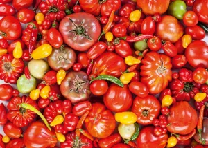 Tomatoes - 1000pc Jigsaw Puzzle by D-Toys