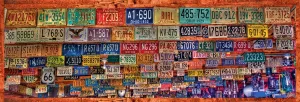 License to Drive - 500pc Jigsaw Puzzle By Sunsout  			  					NEW