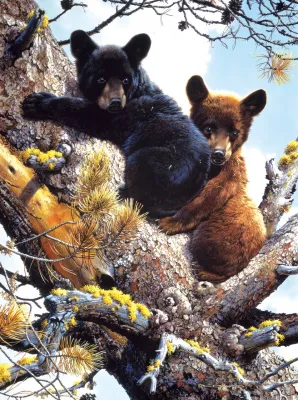 Adventure in the treetops - 300pc Jigsaw Puzzle by Sunsout  			  					NEW