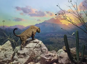 Jaguar Diorama - 1000pc Jigsaw Puzzle by Pomegranate  			  					NEW