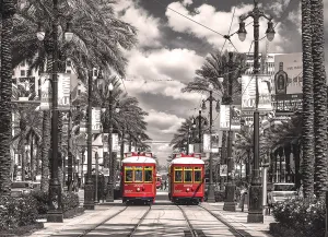 New Orleans: Streetcars - 1000pc Jigsaw Puzzle by Eurographics