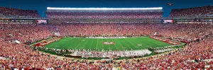 University of Alabama: Bryant-Denny Stadium - 1000pc Panoramic Jigsaw Puzzle by Masterpieces