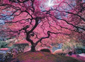 Pink Tree - 1000pc Jigsaw Puzzle by Anatolian