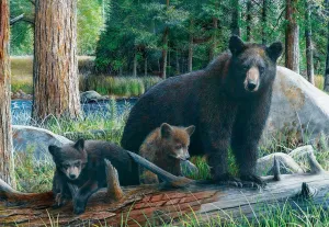 Daniel: New Discoveries - 1000pc Jigsaw Puzzle by Eurographics  			  					NEW