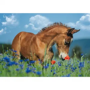 Welsh Pony - 500pc Jigsaw Puzzle by Schmidt