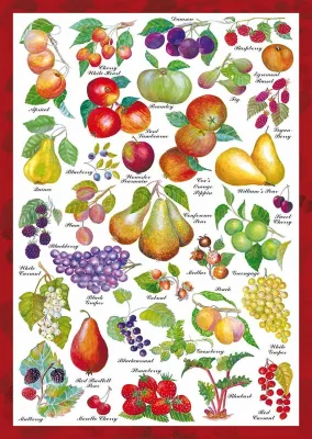 Fruits - 1000pc Jigsaw Puzzle by Schmidt  			  					NEW