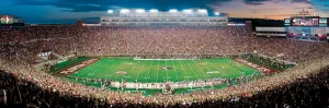 Florida State - 1000pc Panoramic Jigsaw by Masterpieces