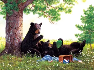 Stolen Moments - 500pc Jigsaw Puzzle By Sunsout  			  					NEW