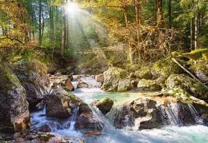 The Forest Stream - 2000pc By Castorland